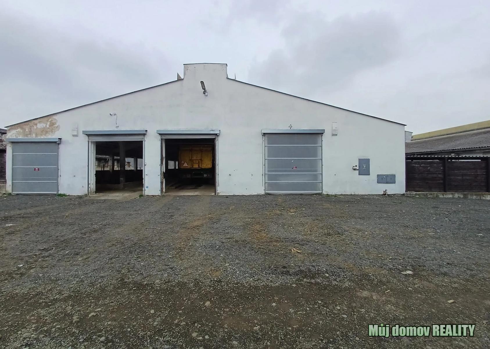 nab_486000389.jpg