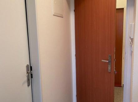 217275856 (9).jpg | Pronájem bytu, 1+kk, 22 m²