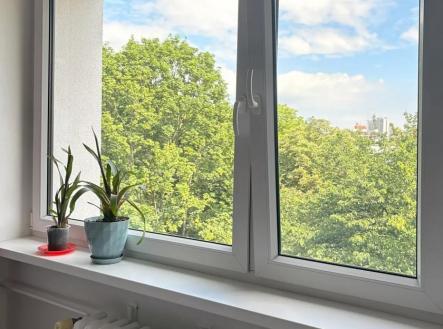 719951883_1749076506263505_5953583920985818069_n.jpg | Pronájem bytu, 2+kk, 42 m²