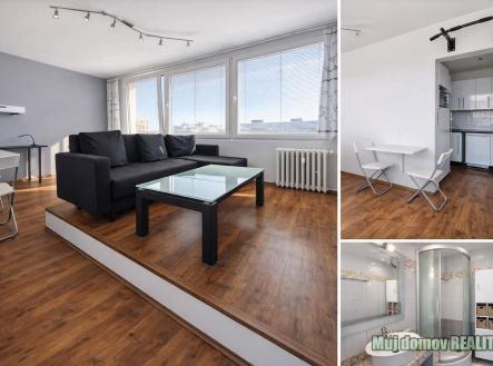 604648438_122142452540964187_6306966964897207967_n.jpg | Pronájem bytu, 1+kk, 30 m²