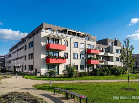 740487465_3463884973768547_8691911686562711518_n (1).jpg | Pronájem bytu, 1+kk, 32 m²