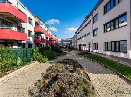 739508970_3463885653768479_105423853183159112_n.jpg | Pronájem bytu, 1+kk, 32 m²