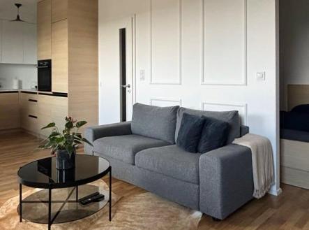 741619994_2428805340952808_8674289396431108709_n (1) | Pronájem bytu, 1+kk, 47 m²