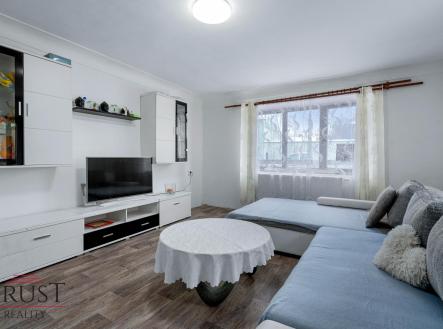 Prodej - dům/vila, 394 m²