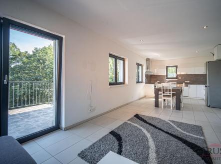 Prodej, luxusni vila, Teplice | Prodej - dům/vila, 338 m²