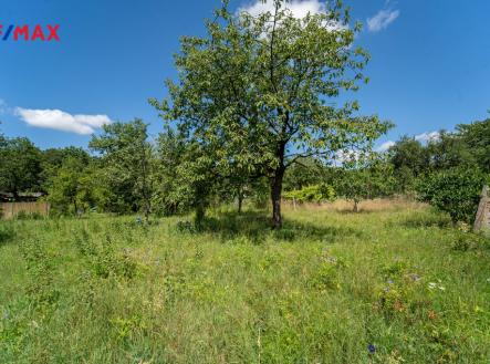 Pohled na nabízený pozemek | Prodej - pozemek pro bydlení, 707 m²