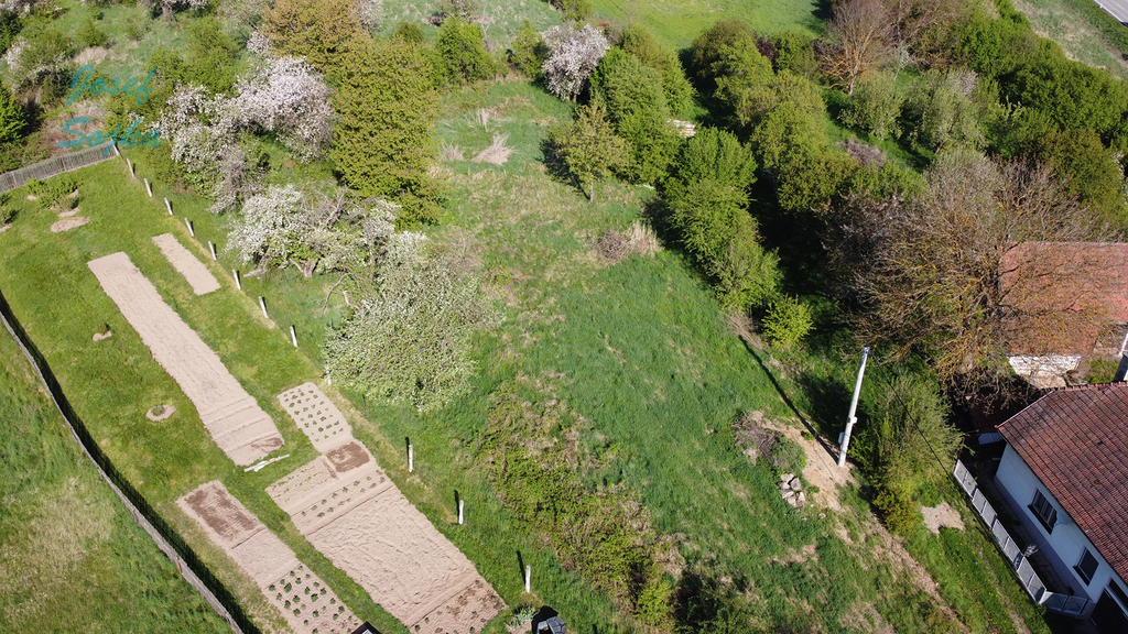 dji-0115.jpg