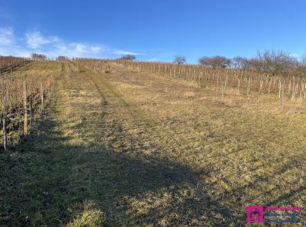 foto: 3 | Prodej - pozemek, ostatní, 2 567 m²