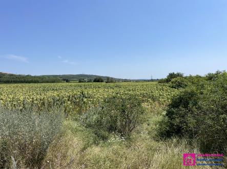 foto: 2 | Prodej - pozemek, ostatní, 17 804 m²