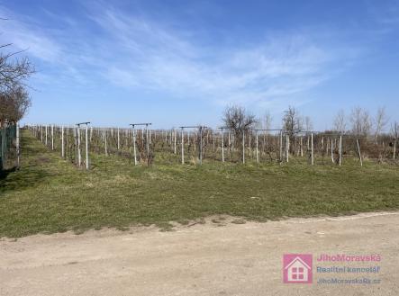 foto: 2 | Prodej - pozemek, ostatní, 9 203 m²