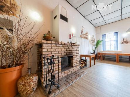 Prodej - dům/vila, 480 m²