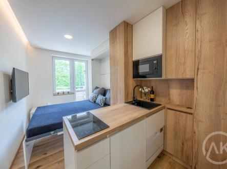 _IMG3694-HDR.jpg | Pronájem bytu, 1+kk, 17 m²