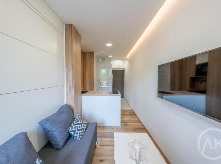 _IMG3684-HDR.jpg | Pronájem bytu, 1+kk, 17 m²