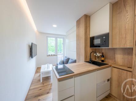 _IMG3689-HDR.jpg | Pronájem bytu, 1+kk, 17 m²