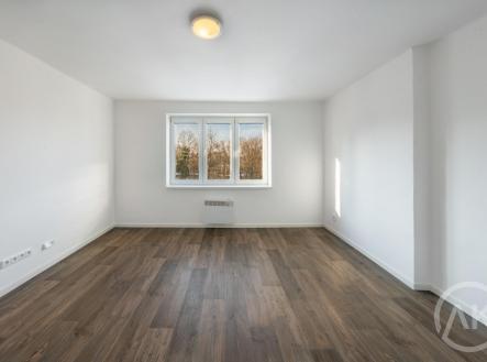 _IMG4810-HDR.jpg | Pronájem bytu, 2+1, 59 m²