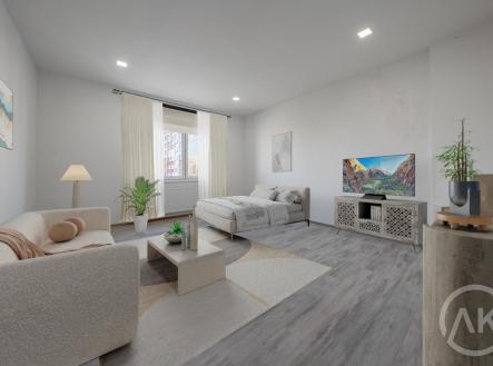 Jirska__IMG5292-HDR-Edit_04-11-24_10_30.jpg | Pronájem bytu, 1+1, 45 m²