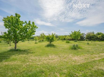 Prodej - pozemek pro bydlení, 1 300 m²