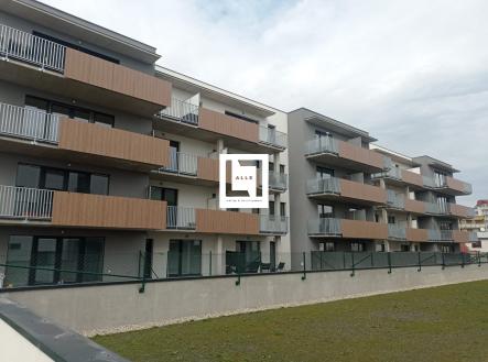 WhatsApp Image 2023-03-23 at 12.45.02 (3) | Pronájem bytu, 1+kk, 39 m²