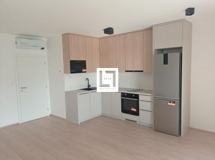 WhatsApp Image 2023-03-23 at 12.45.02 (1) | Pronájem bytu, 1+kk, 39 m²