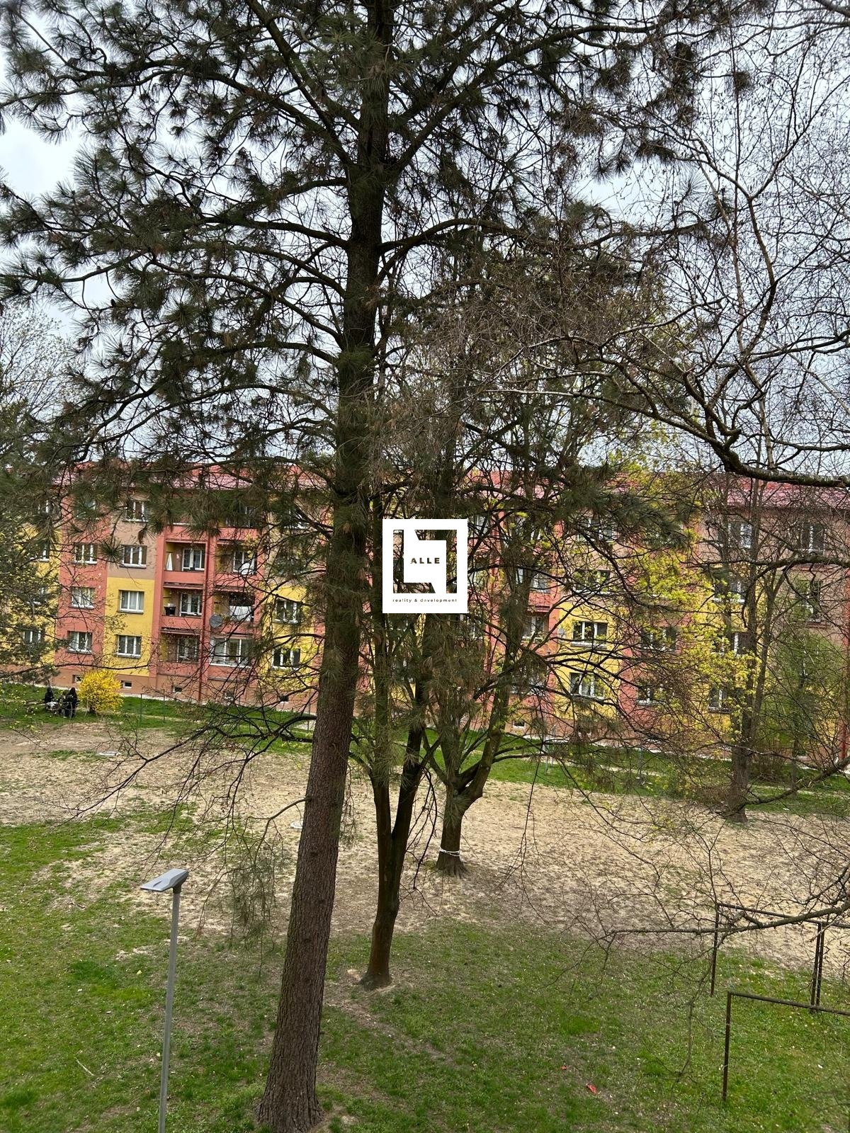 IMG-20250425-WA0003