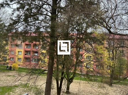 IMG-20250425-WA0003 | Prodej bytu, 2+1, 53 m²