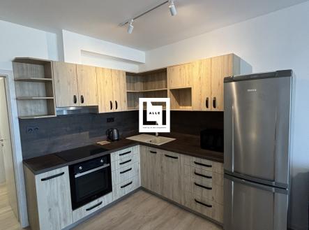 IMG_3888 | Pronájem bytu, 1+kk, 38 m²