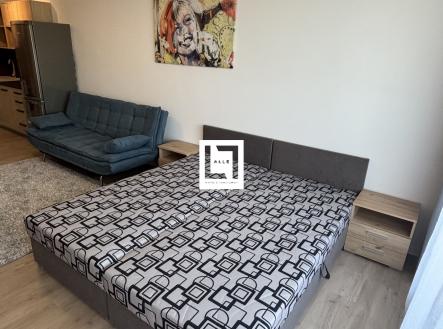 IMG_3884 | Pronájem bytu, 1+kk, 38 m²
