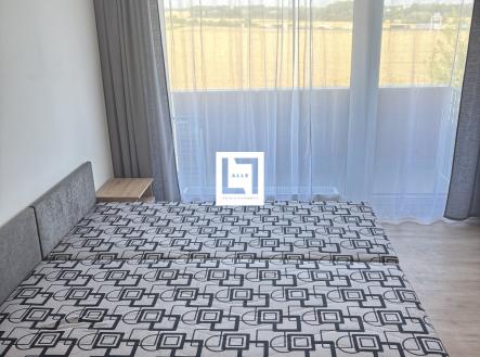IMG_3883 | Pronájem bytu, 1+kk, 38 m²