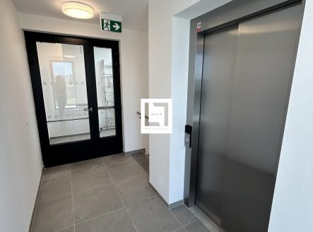 IMG_9940 | Pronájem bytu, 2+kk, 51 m²