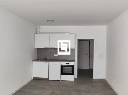 IMG-20250922-WA0001 | Pronájem bytu, 1+kk, 32 m²