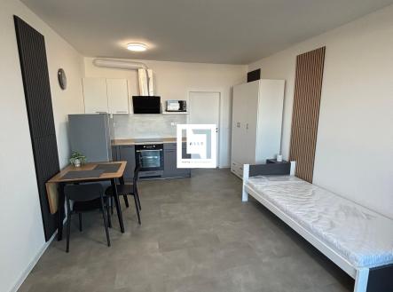 IMG-20251128-WA0003 | Pronájem bytu, 1+kk, 31 m²