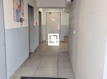 IMG_20260312_091544 | Prodej bytu, 2+kk, 55 m²