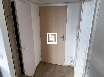 20250209_140602 | Pronájem bytu, 1+1, 31 m²