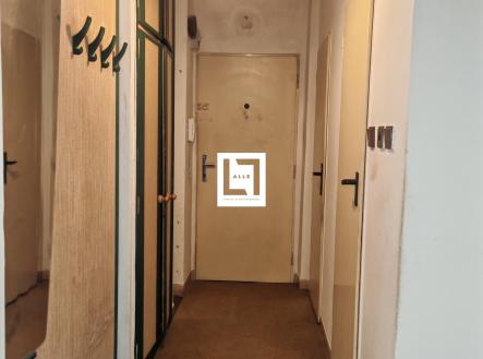IMG_20260428_101748 | Prodej bytu, 2+1, 46 m²