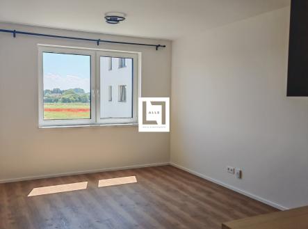 IMG_20260602_111403 | Pronájem bytu, 1+kk, 28 m²