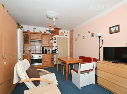 Prodej bytu, 1+1, 45 m²