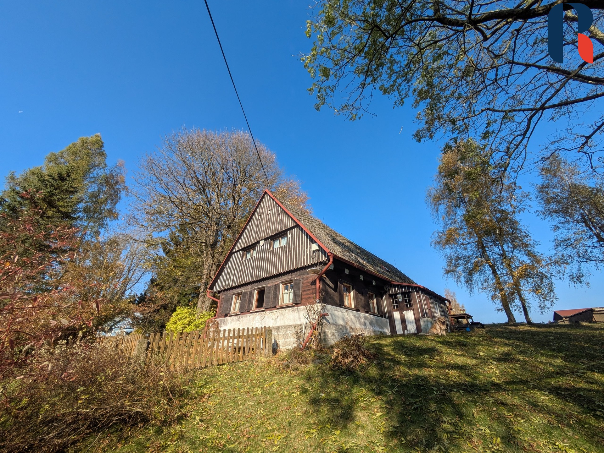 PXL_20241024_093150665