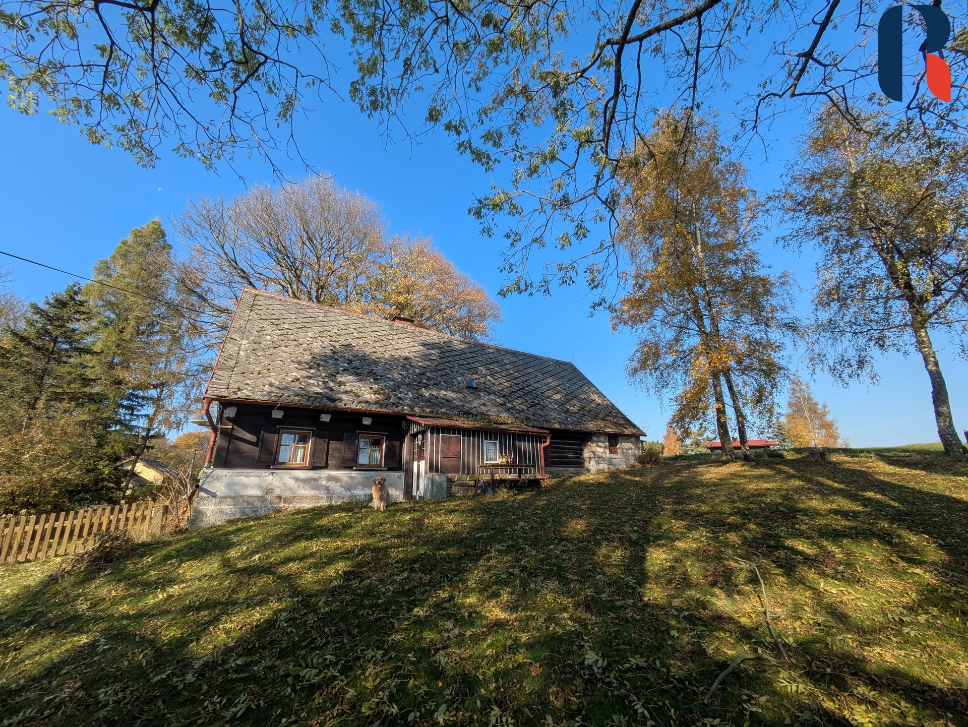 PXL_20241024_093205549