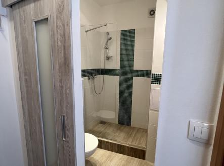 IMG_5787 | Pronájem bytu, 2+kk, 34 m²