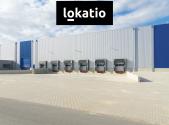 Pronájem - komerční objekt, sklad, 7 000 m²
