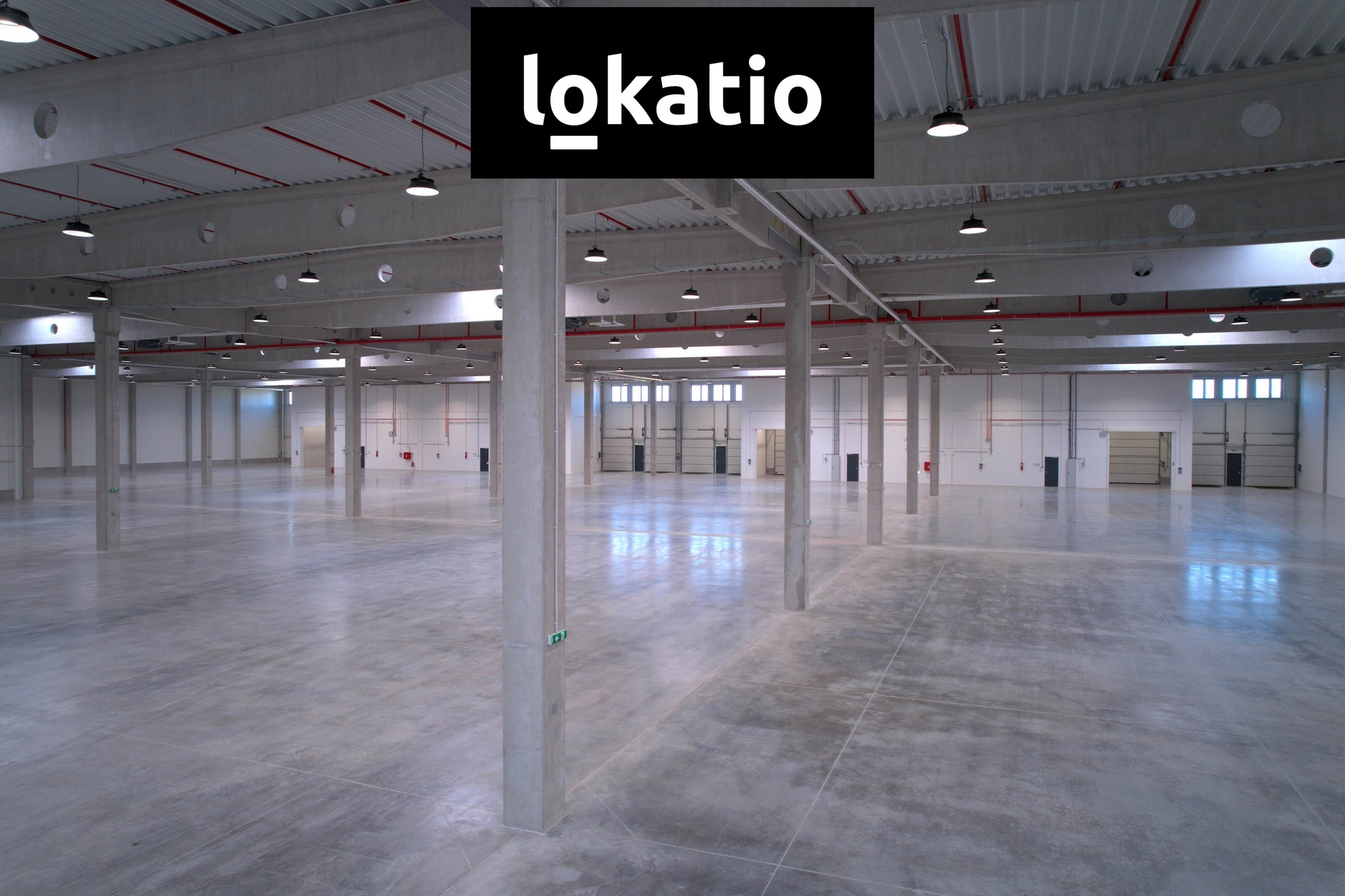 V3-0271_Mikulov_Hala_2024_00