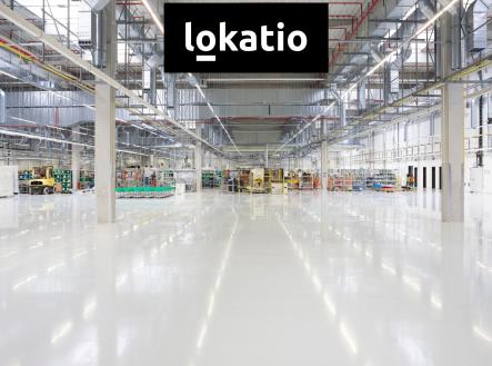 novy jicin | Pronájem - komerční objekt, sklad, 17 493 m²