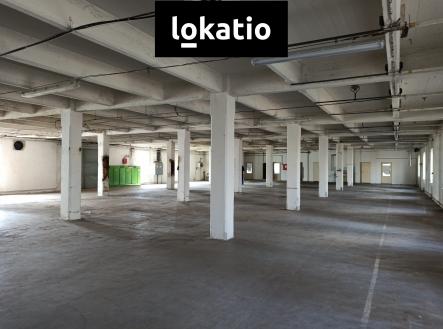 Hala 30 - 7 | Pronájem - komerční objekt, sklad, 800 m²