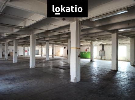 Hala 30 - 1 | Pronájem - komerční objekt, sklad, 800 m²