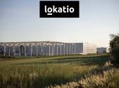 Pronájem - komerční objekt, sklad, 37 478 m²