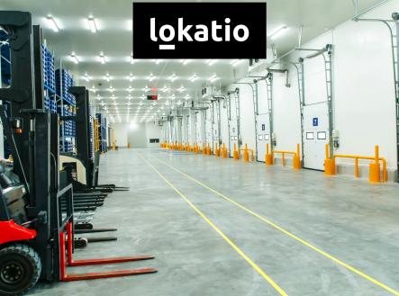 ob_29 | Pronájem - komerční objekt, sklad, 3 355 m²