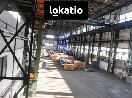 plotiste_11 | Pronájem - komerční objekt, sklad, 5 000 m²