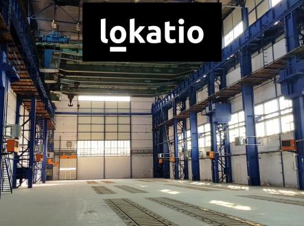 plotiste_02 | Pronájem - komerční objekt, sklad, 5 000 m²