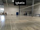 Pronájem - komerční objekt, sklad, 750 m²