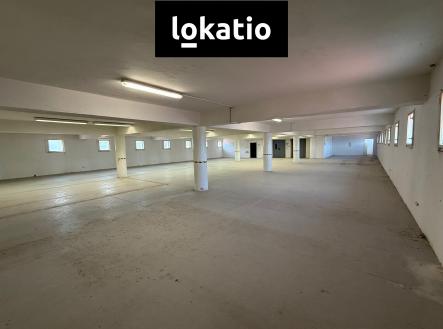 IMG_8297 | Pronájem - komerční objekt, sklad, 3 000 m²